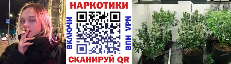 Купить Alpha-PVP  Конопля  Мефедрон  ГАШИШ  Анапа