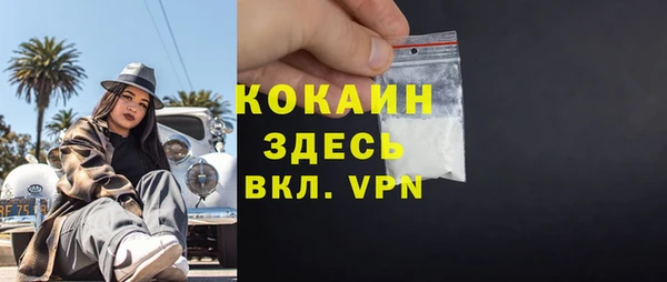 PSILOCYBIN Аркадак