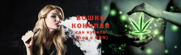 PSILOCYBIN Аркадак