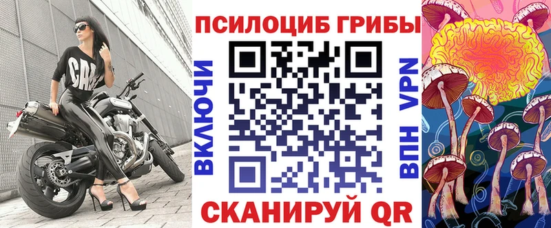 Псилоцибиновые грибы Psilocybe  Купить закладки  Анапа 